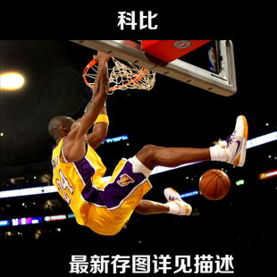 毕业证书编号和学历证书编号一样